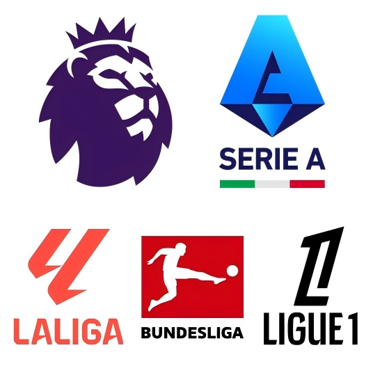 意西德法甲从哪里挖人？西甲本土引援比例最高，法甲开拓海外市场